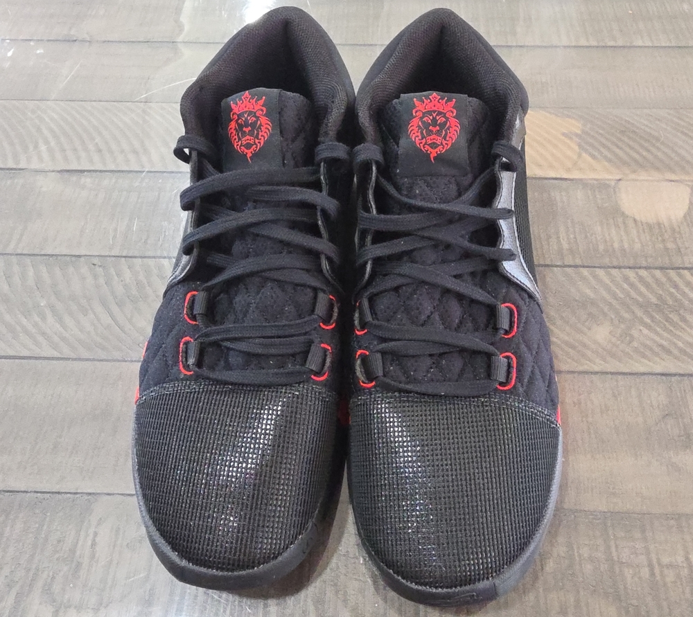 Nike LeBron Basketball Shoes Gray Black